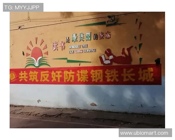 武汉飞盘队的防反战术揭秘与深度分析探讨